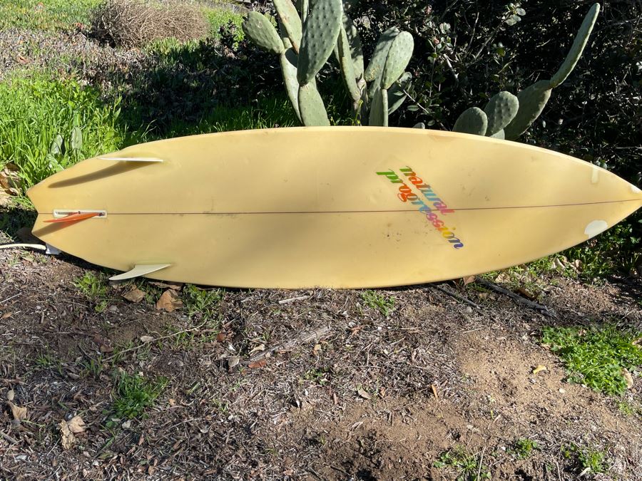 Vintage Eighties Natural Progession Fish Surfboard Shaped By Dean Edwards 195cm 6'4' [Photo 6]