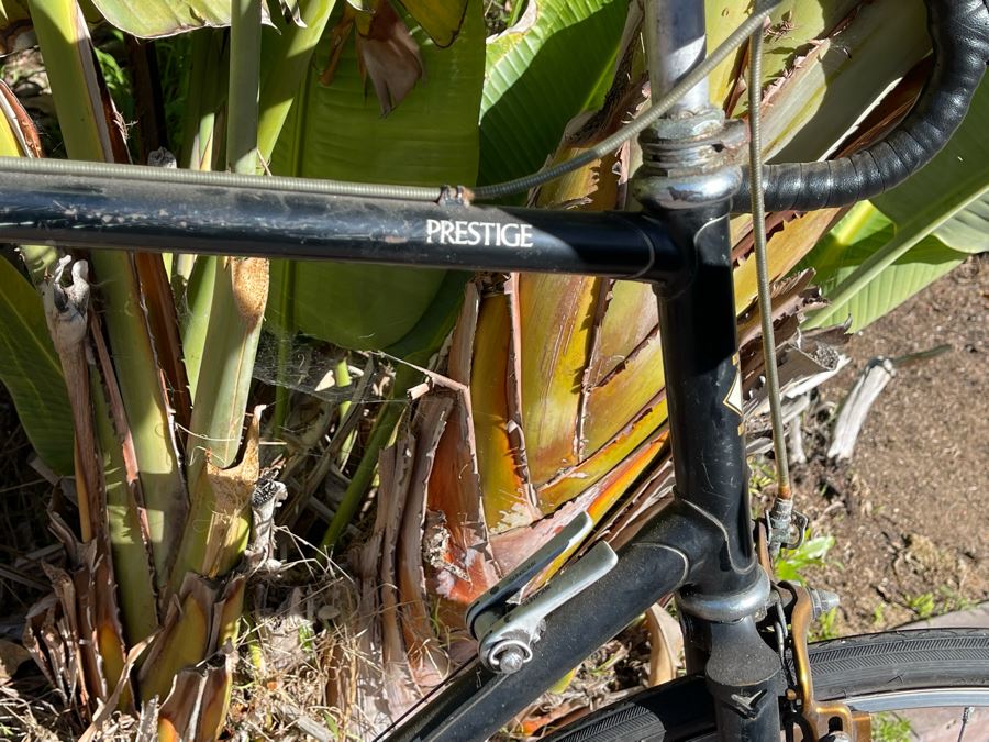 Japanese NISHIKI Prestige Bicycle [Photo 4]