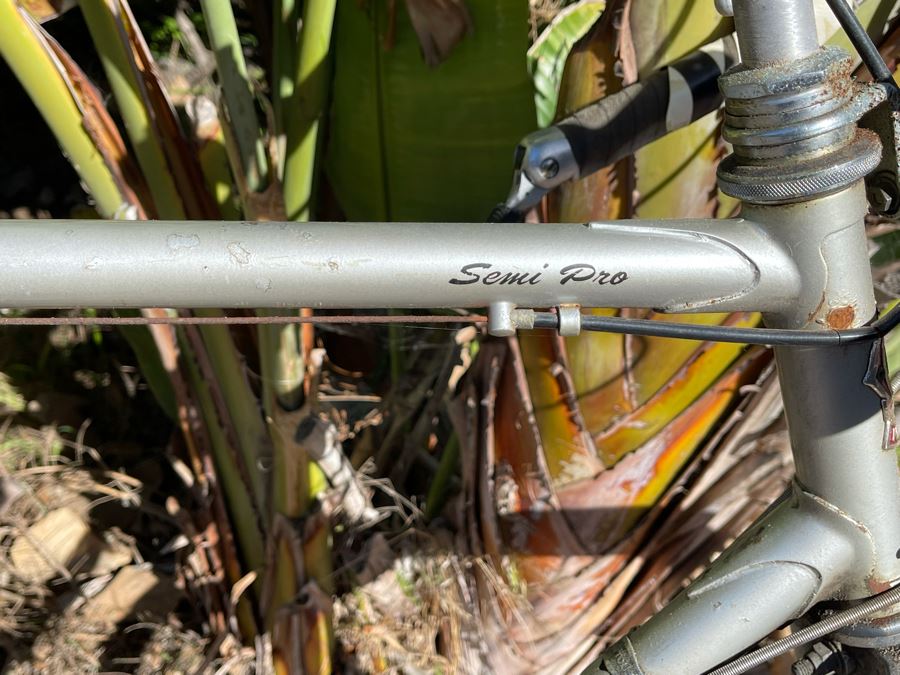 Vintage Japanese NISHIKI Semi Pro Bicycle [Photo 4]