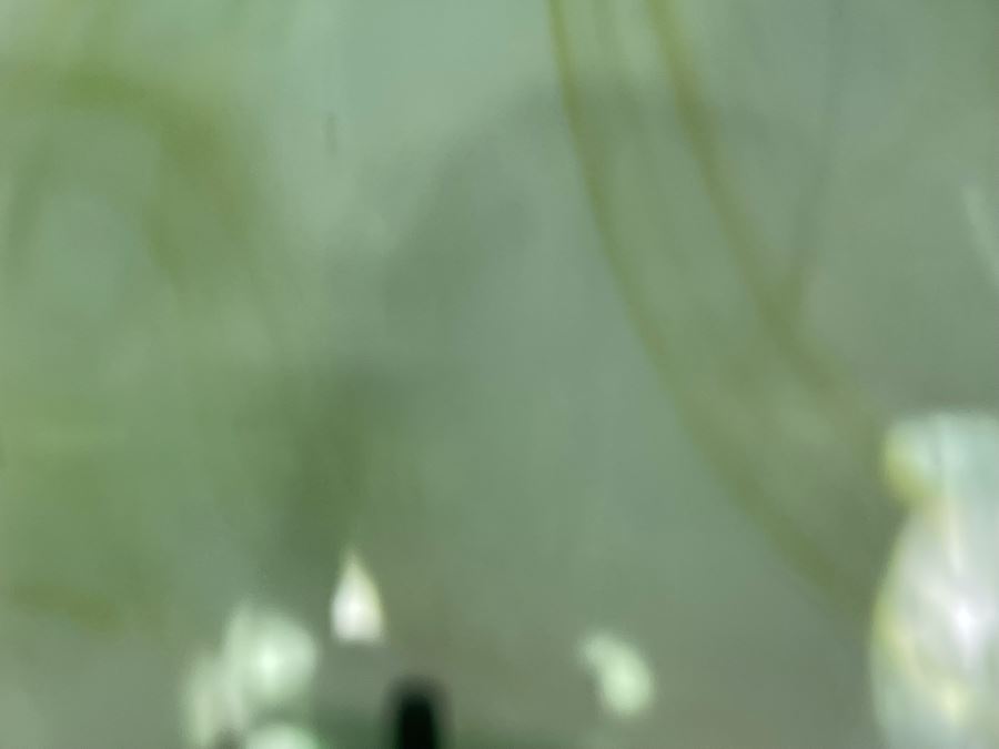 Large Green Glass Bottle With Wooden Stand 25H X 12W [Photo 10]