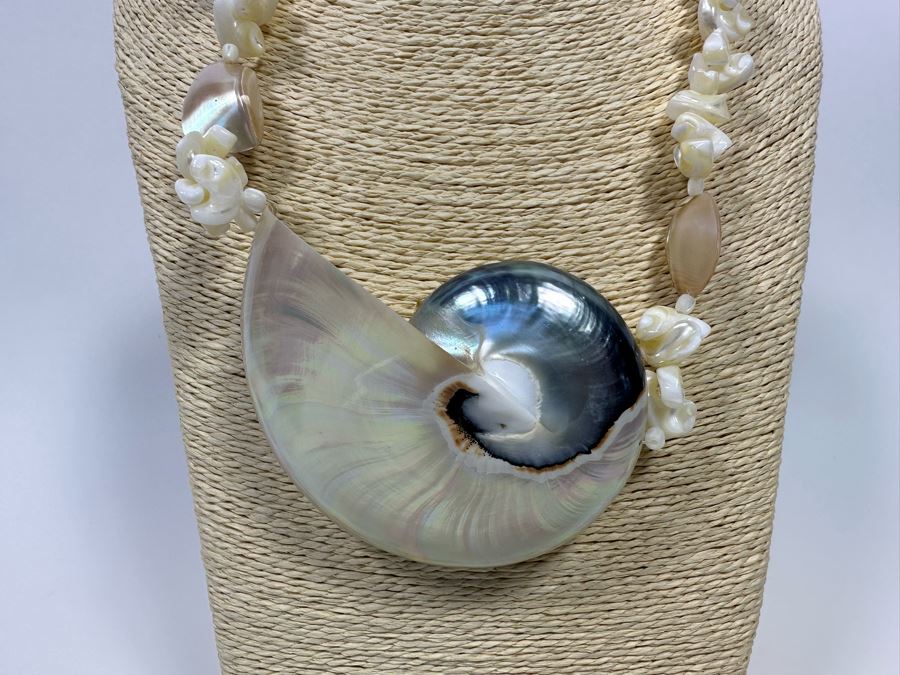 Pair Of Large Nautilus Shell Pendant Necklaces [Photo 5]
