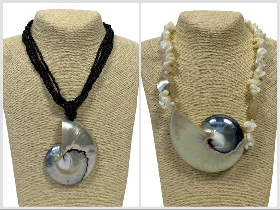 Pair Of Large Nautilus Shell Pendant Necklaces