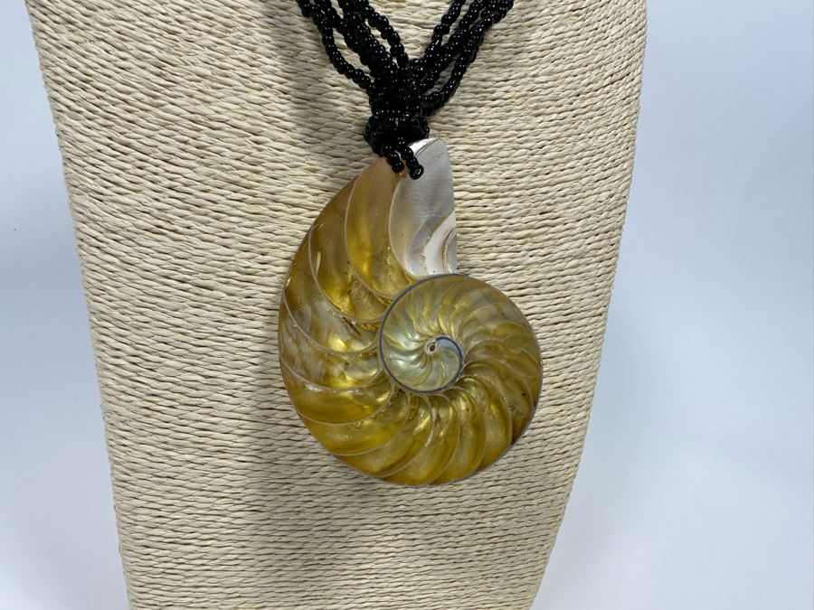 Pair Of Large Nautilus Shell Pendant Necklaces [Photo 9]