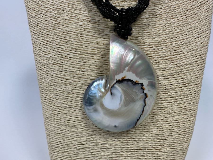 Pair Of Large Nautilus Shell Pendant Necklaces [Photo 8]