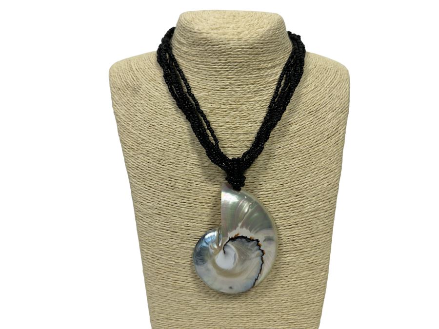 Pair Of Large Nautilus Shell Pendant Necklaces [Photo 2]