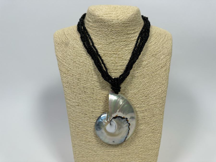 Pair Of Large Nautilus Shell Pendant Necklaces [Photo 7]