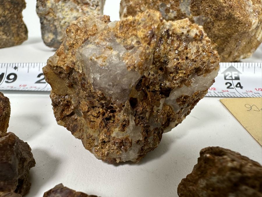 Large Collection Of Garnets & Epidotes In Matrix From The McFall Mine North Of Lakeside, CA - See Photos [Photo 26]