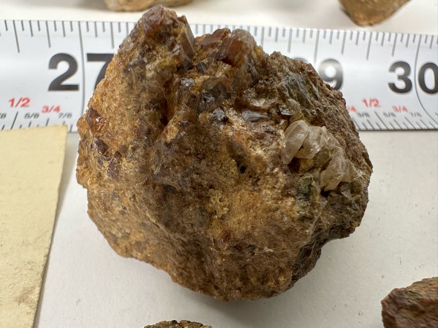 Large Collection Of Garnets & Epidotes In Matrix From The McFall Mine North Of Lakeside, CA - See Photos [Photo 18]