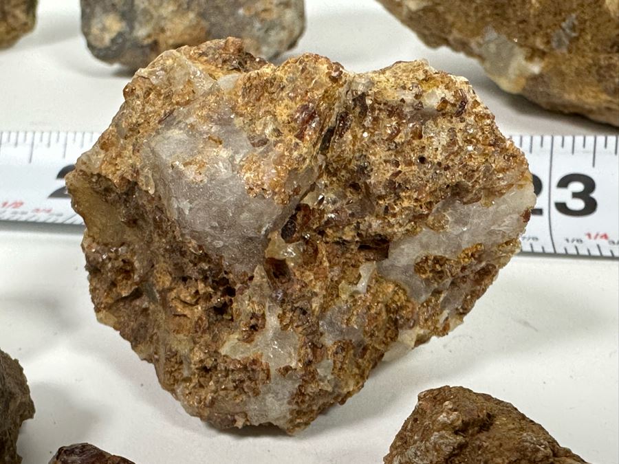 Large Collection Of Garnets & Epidotes In Matrix From The McFall Mine North Of Lakeside, CA - See Photos [Photo 28]