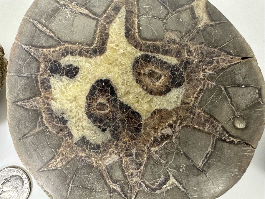 Three Polished Geode Halves [Photo 5]