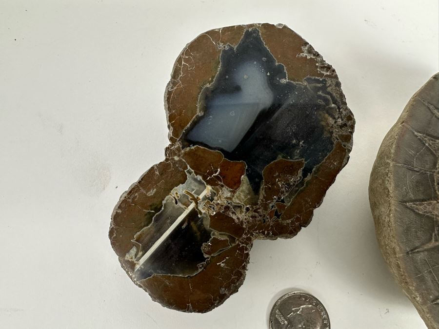 Three Polished Geode Halves [Photo 8]