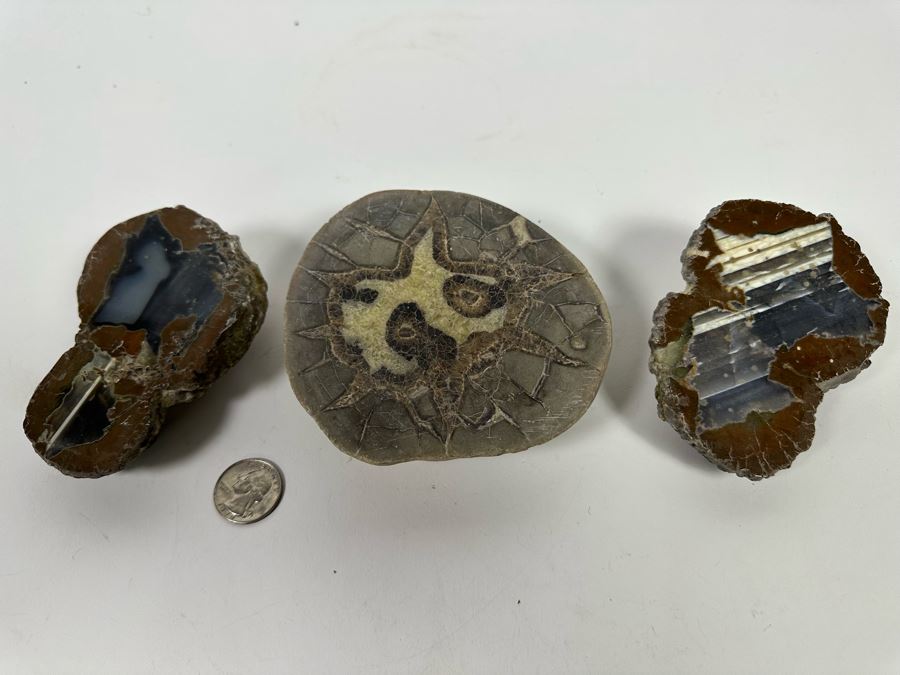 Three Polished Geode Halves [Photo 2]