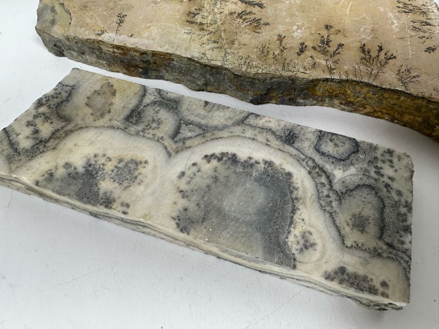 Various Polished Stones [Photo 14]