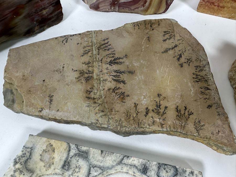 Various Polished Stones [Photo 5]