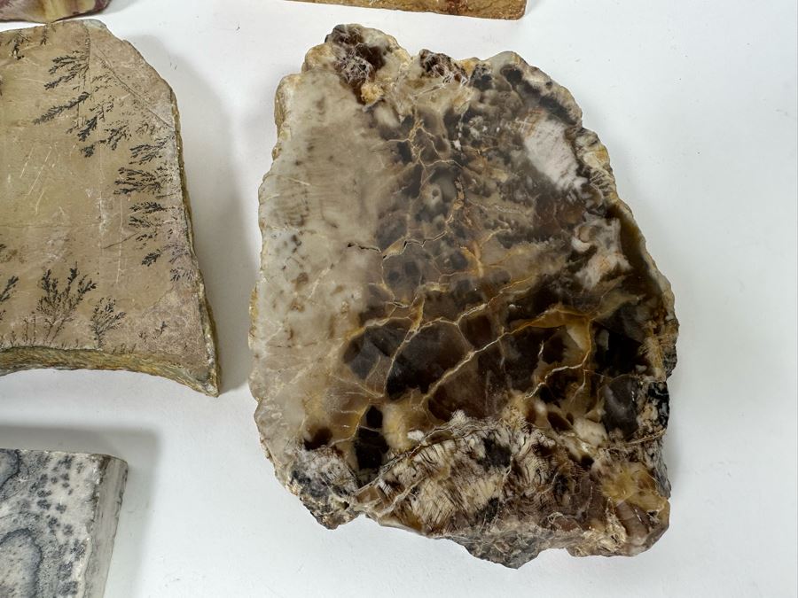 Various Polished Stones [Photo 6]