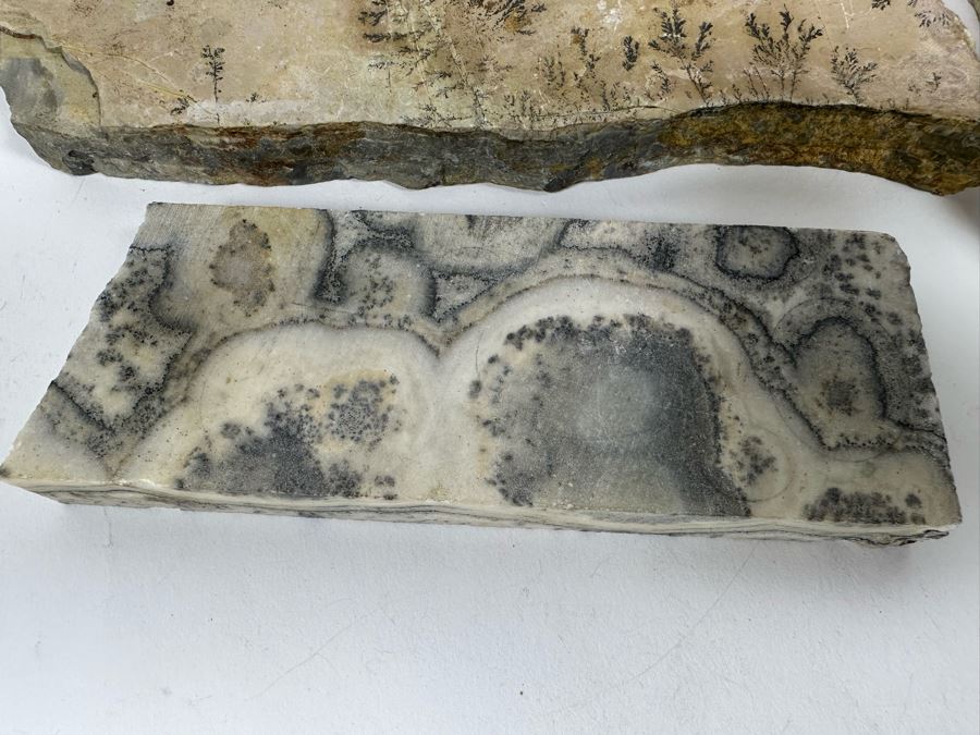 Various Polished Stones [Photo 4]