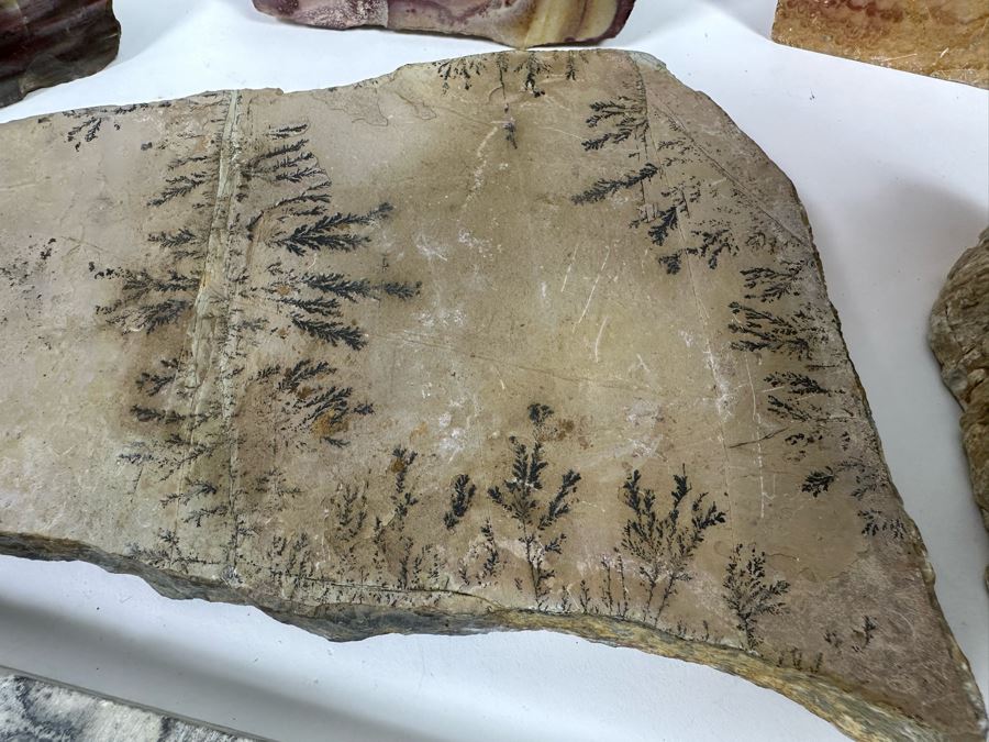 Various Polished Stones [Photo 13]