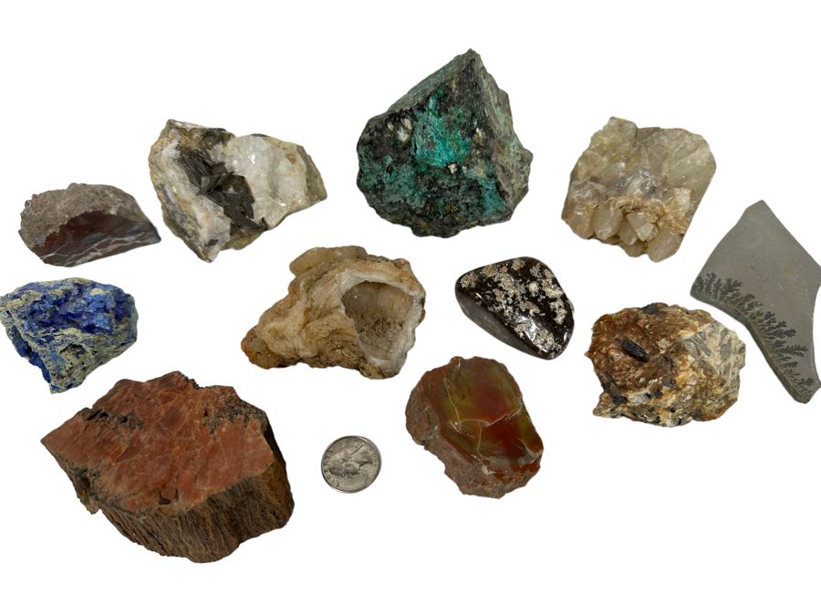 Collection Of Rocks, Minerals, Fossilized Wood And Semi-Precious Stones In Matrix - See Photos