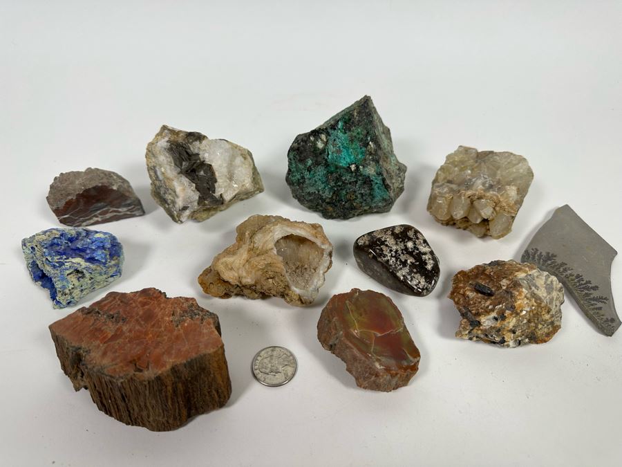 Collection Of Rocks, Minerals, Fossilized Wood And Semi-Precious Stones In Matrix - See Photos [Photo 2]