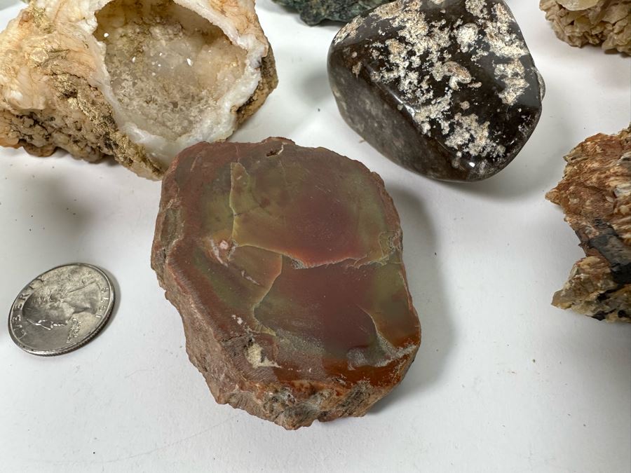 Collection Of Rocks, Minerals, Fossilized Wood And Semi-Precious Stones In Matrix - See Photos [Photo 17]