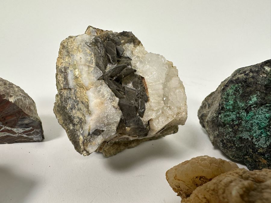 Collection Of Rocks, Minerals, Fossilized Wood And Semi-Precious Stones In Matrix - See Photos [Photo 19]