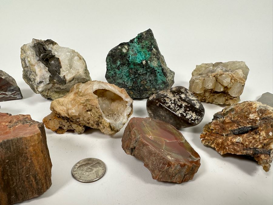 Collection Of Rocks, Minerals, Fossilized Wood And Semi-Precious Stones In Matrix - See Photos [Photo 22]
