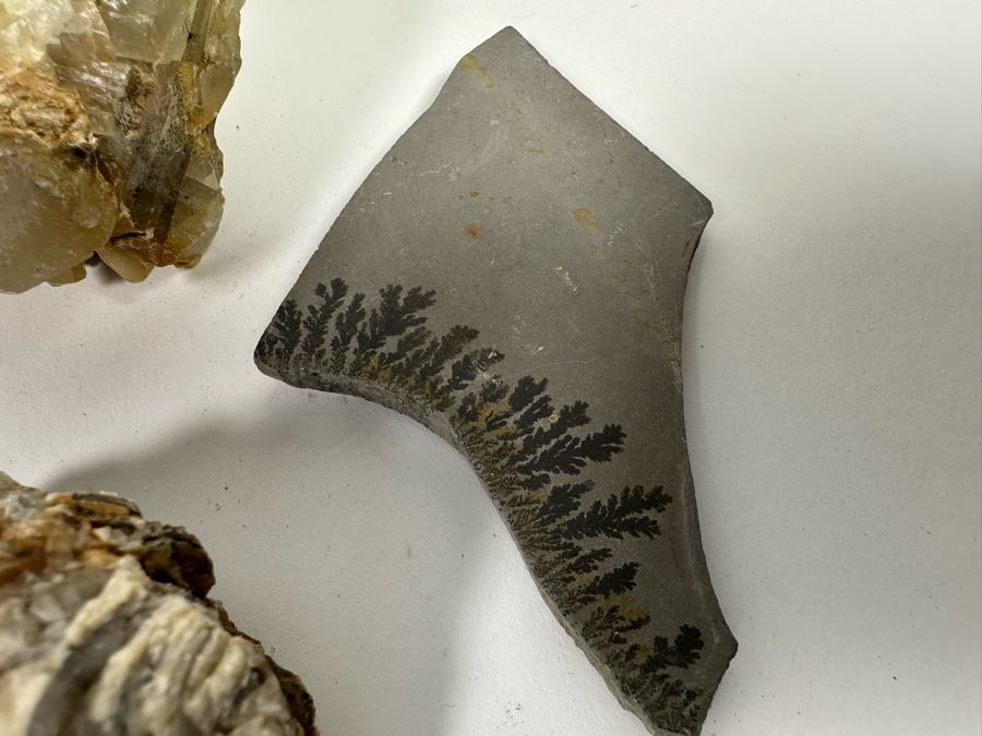 Collection Of Rocks, Minerals, Fossilized Wood And Semi-Precious Stones In Matrix - See Photos [Photo 13]