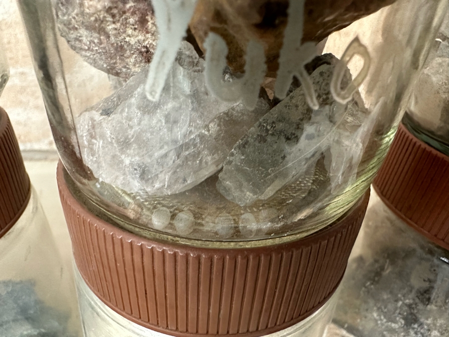 Collection Of Mined Minerals, Rocks, Tumbled Stones And Gold Flakes From Various Mines And Sites Including Dawson City Yukon, Tumco Gold Mine & Little Bodie Mine - See Photos [Photo 13]