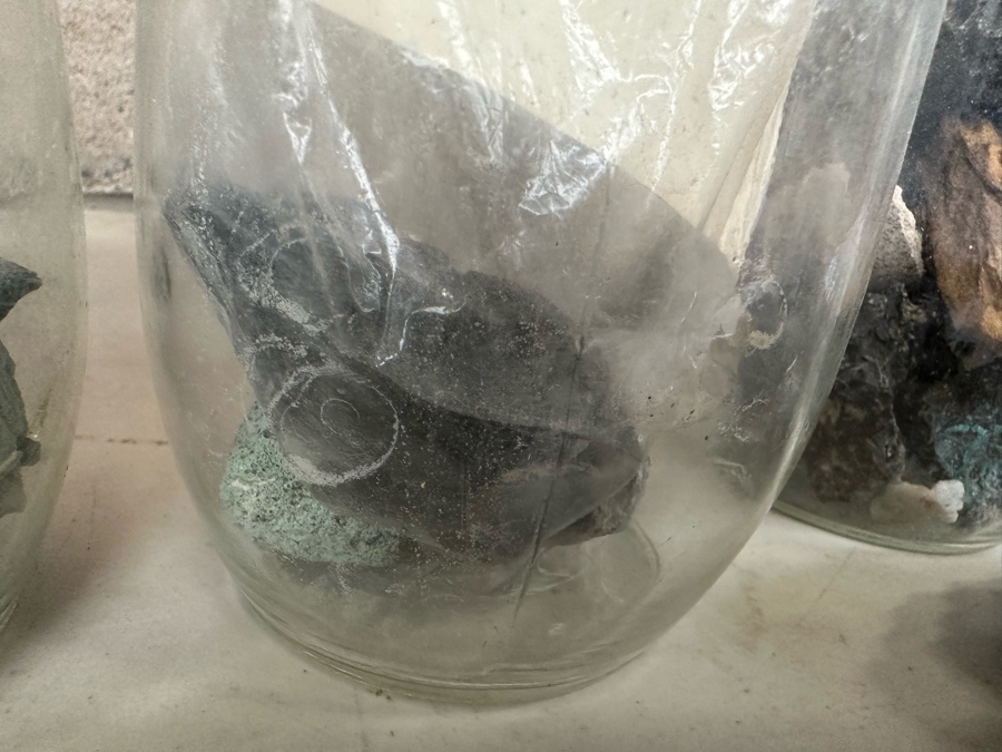 Collection Of Mined Minerals, Rocks, Tumbled Stones And Gold Flakes From Various Mines And Sites Including Dawson City Yukon, Tumco Gold Mine & Little Bodie Mine - See Photos [Photo 14]