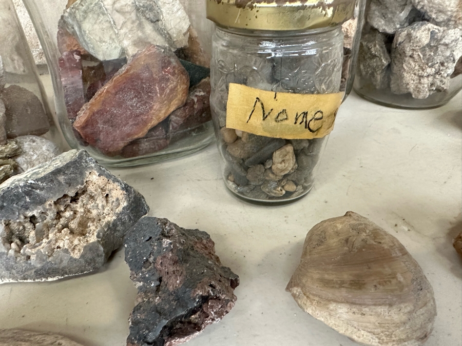 Collection Of Mined Minerals, Rocks, Fossils And Found Items From Various Mines And Sites Including The Tumco Gold Mine & Nome, Alaska - See Photos [Photo 35]
