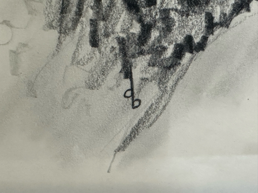 Original Pencil Drawing On Paper Of Native American Indian Signed DB 10W X 12H Framed 19W X 23H [Photo 11]