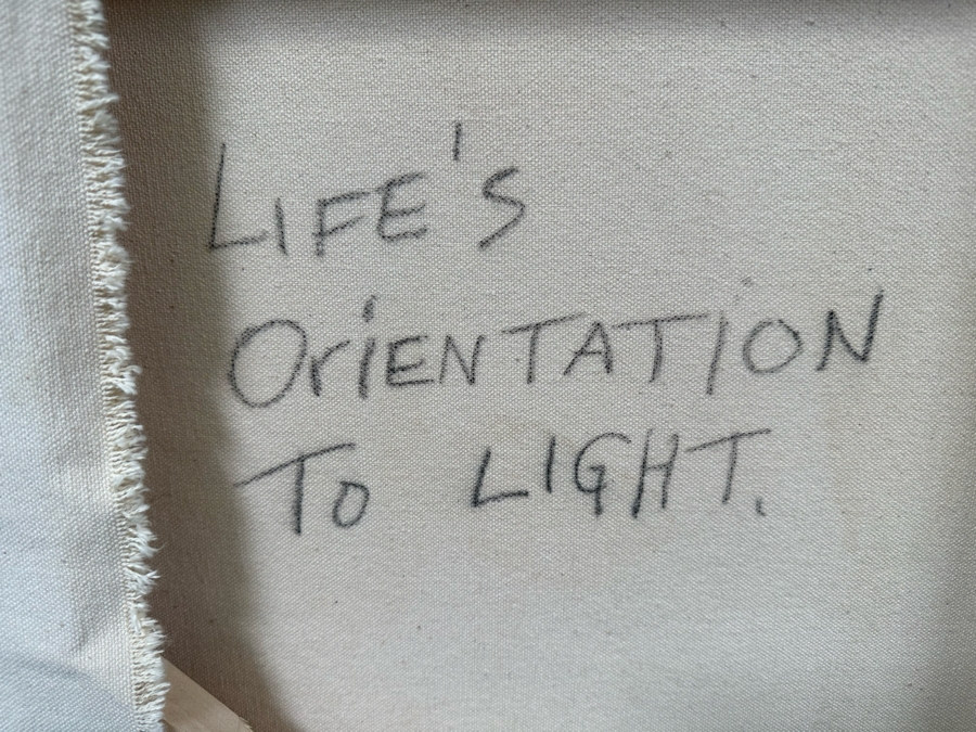 Original Pegan Brooke Oil On Canvas Painting Titled Kaui, 4 44 X 34 2000 Retails $5,600 [Photo 12]
