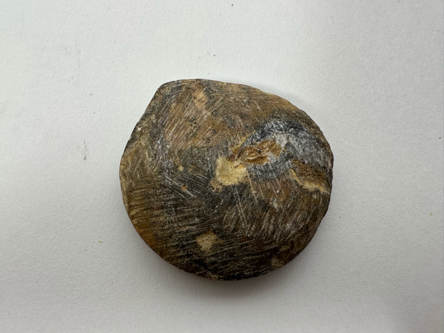 Collection Of Various Rocks (Including Amethyst Pendant And Carved Rose Quartz Rat) And Fossil - See Photos [Photo 21]