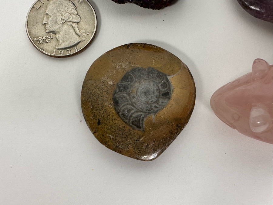 Collection Of Various Rocks (Including Amethyst Pendant And Carved Rose Quartz Rat) And Fossil - See Photos [Photo 4]