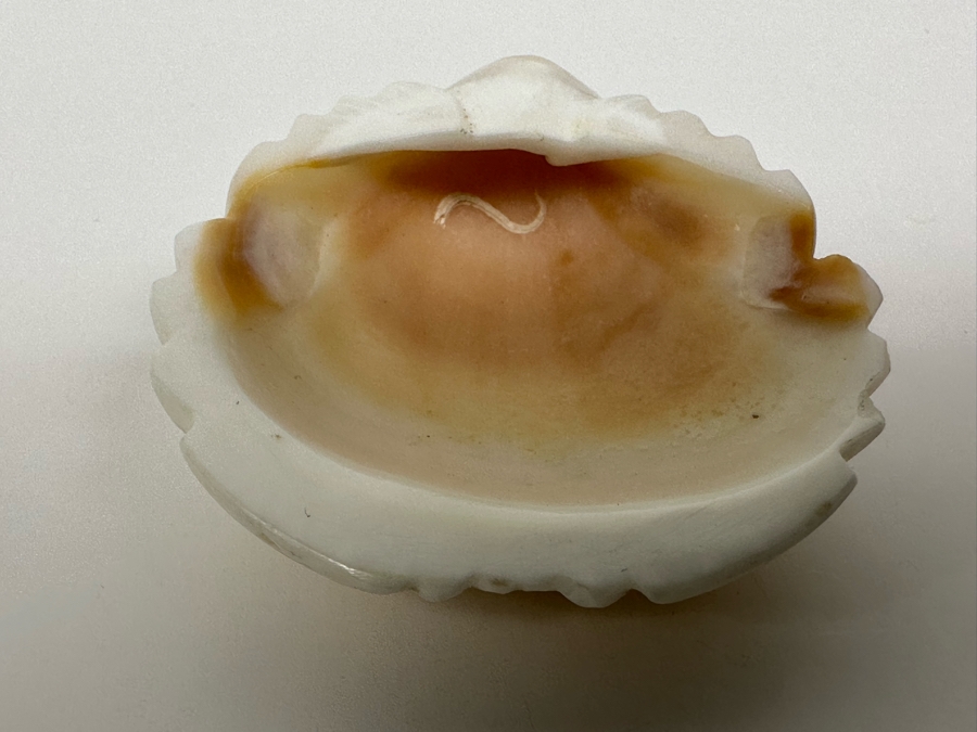 Native American Zuni Fetish Of Frog [Photo 9]