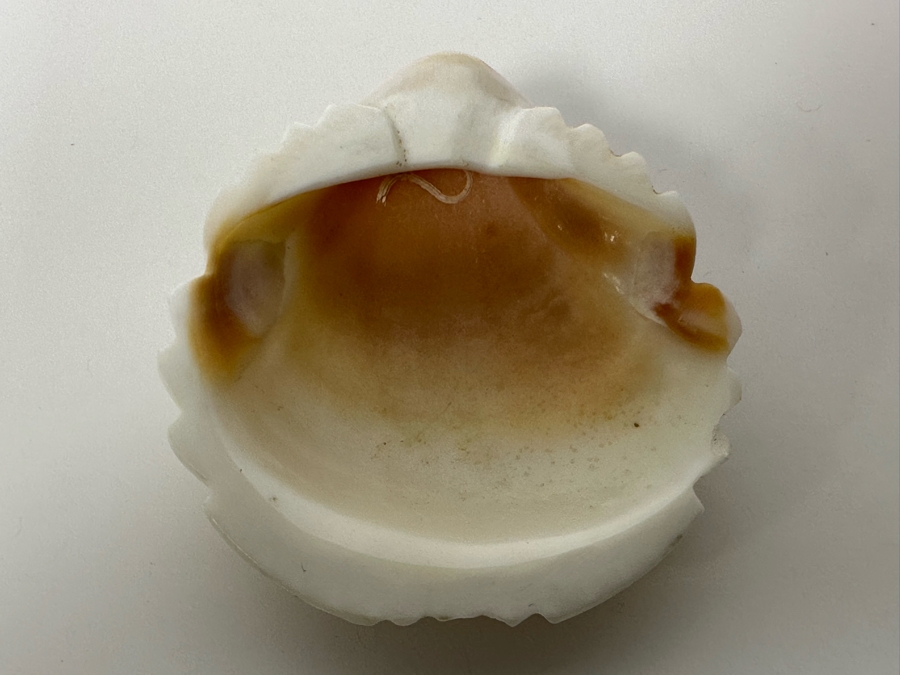 Native American Zuni Fetish Of Frog [Photo 8]