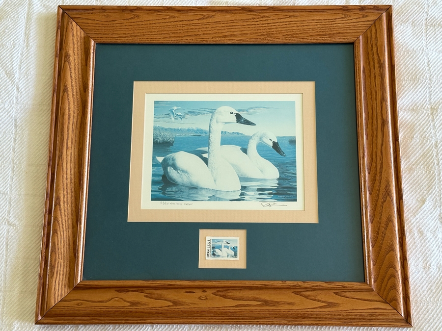 Hand Signed Robert Steiner Limited Edition Swan Print Artist Proof And 1991 Waterfowl Stamp Framed 21.5 X 20 [Photo 3]