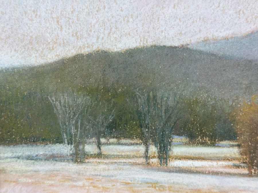 Sandy Wadlington Original Pastel Painting 10 X 7 Framed 20 X 17.5 Estimate $700 [Photo 5]