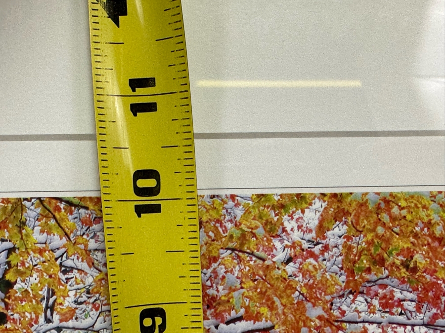 W. Nobushi T. Fuji’i Artist Signed Photograph Titled Early Snow, Landgrove 13 X 10 Framed 22 X 18 [Photo 8]