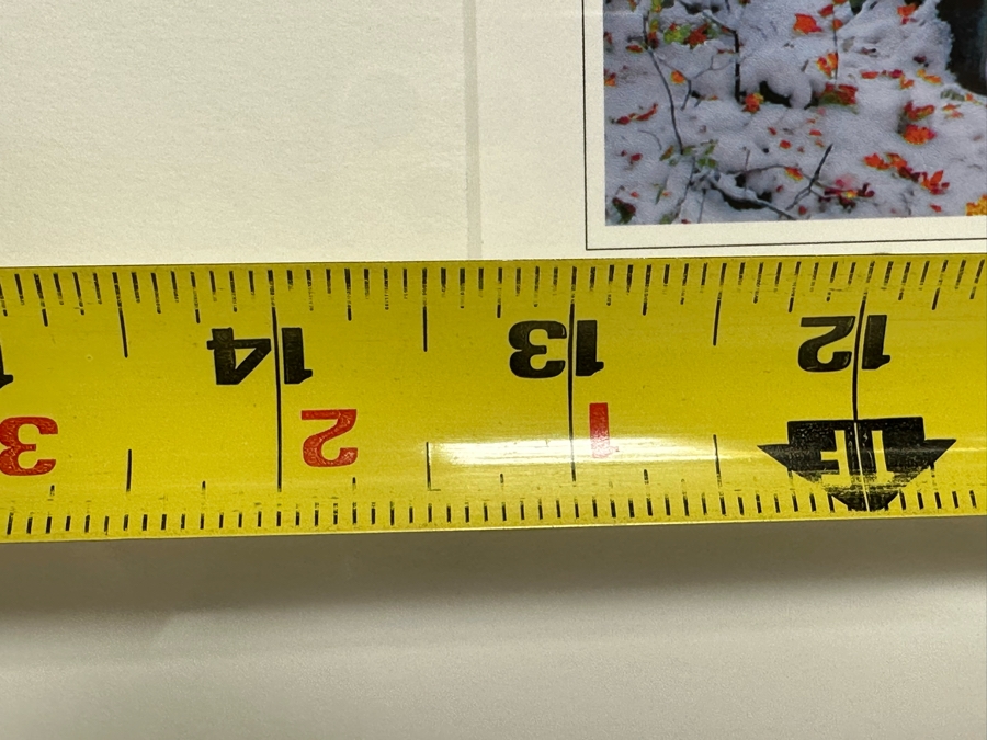 W. Nobushi T. Fuji’i Artist Signed Photograph Titled Early Snow, Landgrove 13 X 10 Framed 22 X 18 [Photo 7]