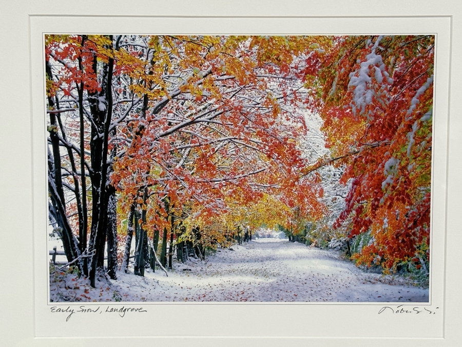 W. Nobushi T. Fuji’i Artist Signed Photograph Titled Early Snow, Landgrove 13 X 10 Framed 22 X 18