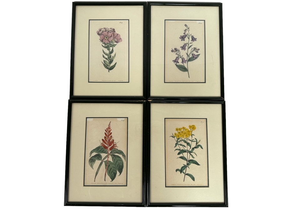 Set Of Four Antique 1802 Botanical Hand Colored Engravings William Curtis / S. Edwards  Crescent Feb, 1. 1802 F. Sansom Engraver 5 X 8 Framed 10.5 X 12.5 [Photo 1]
