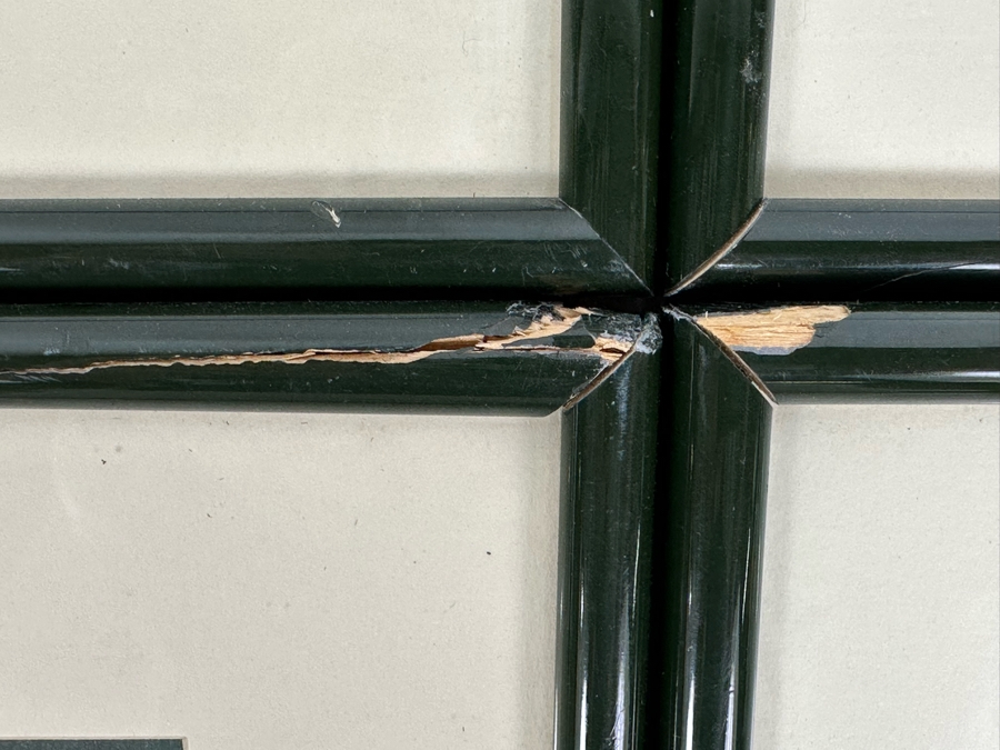 Set Of Four Antique 1802 Botanical Hand Colored Engravings William Curtis / S. Edwards  Crescent Feb, 1. 1802 F. Sansom Engraver 5 X 8 Framed 10.5 X 12.5 [Photo 15]