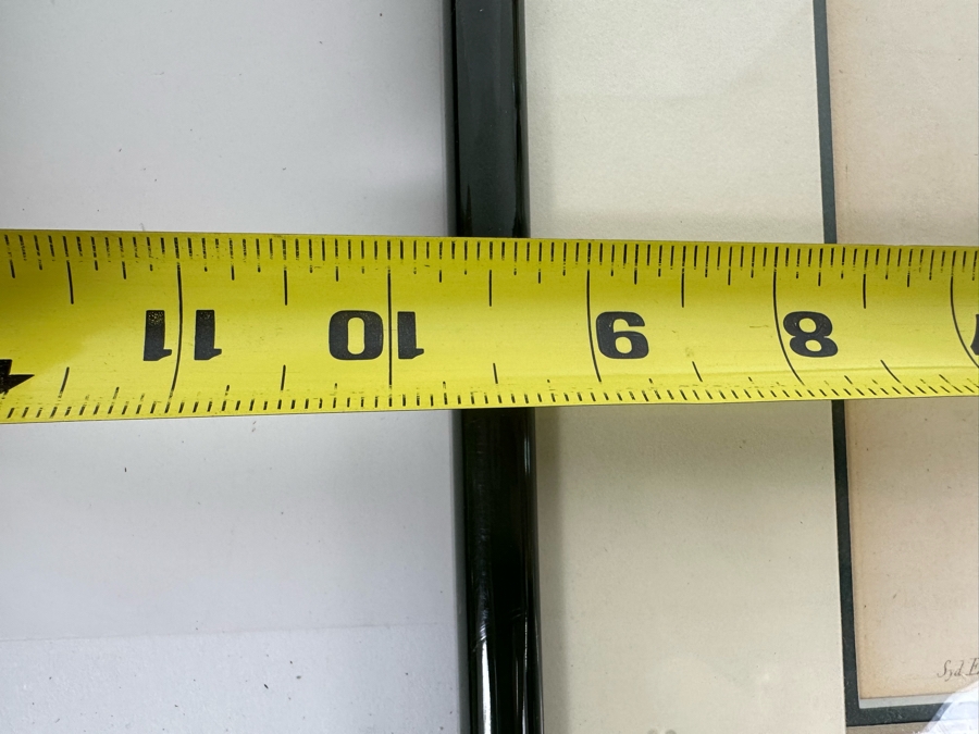 Set Of Four Antique 1802 Botanical Hand Colored Engravings William Curtis / S. Edwards  Crescent Feb, 1. 1802 F. Sansom Engraver 5 X 8 Framed 10.5 X 12.5 [Photo 21]