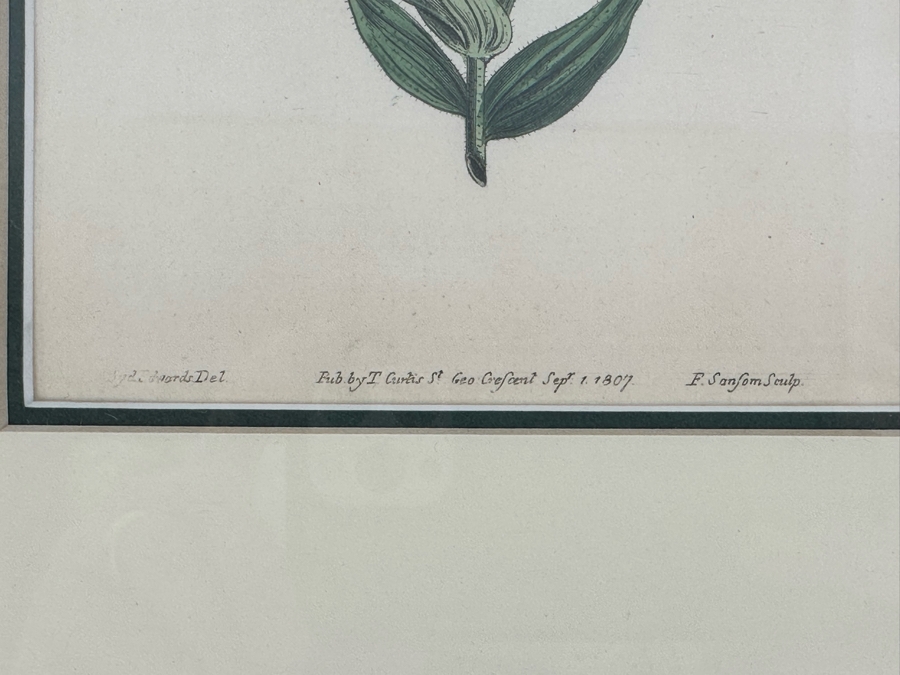 Set Of Four Antique 1802 Botanical Hand Colored Engravings William Curtis / S. Edwards  Crescent Feb, 1. 1802 F. Sansom Engraver 5 X 8 Framed 10.5 X 12.5 [Photo 4]
