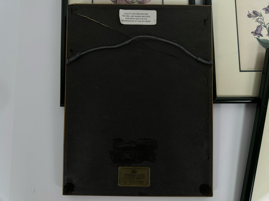 Set Of Four Antique 1802 Botanical Hand Colored Engravings William Curtis / S. Edwards  Crescent Feb, 1. 1802 F. Sansom Engraver 5 X 8 Framed 10.5 X 12.5 [Photo 23]