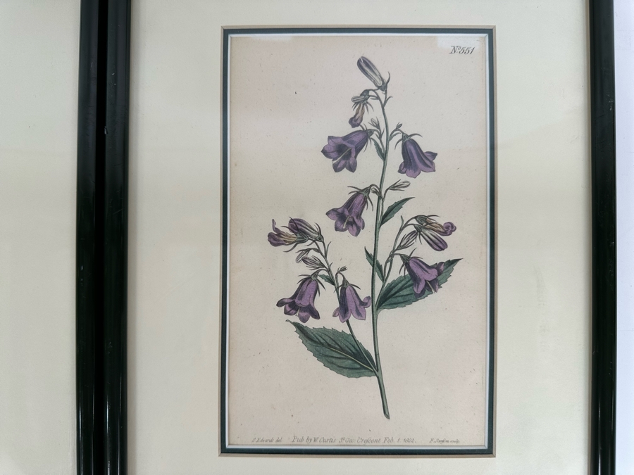 Set Of Four Antique 1802 Botanical Hand Colored Engravings William Curtis / S. Edwards  Crescent Feb, 1. 1802 F. Sansom Engraver 5 X 8 Framed 10.5 X 12.5 [Photo 8]