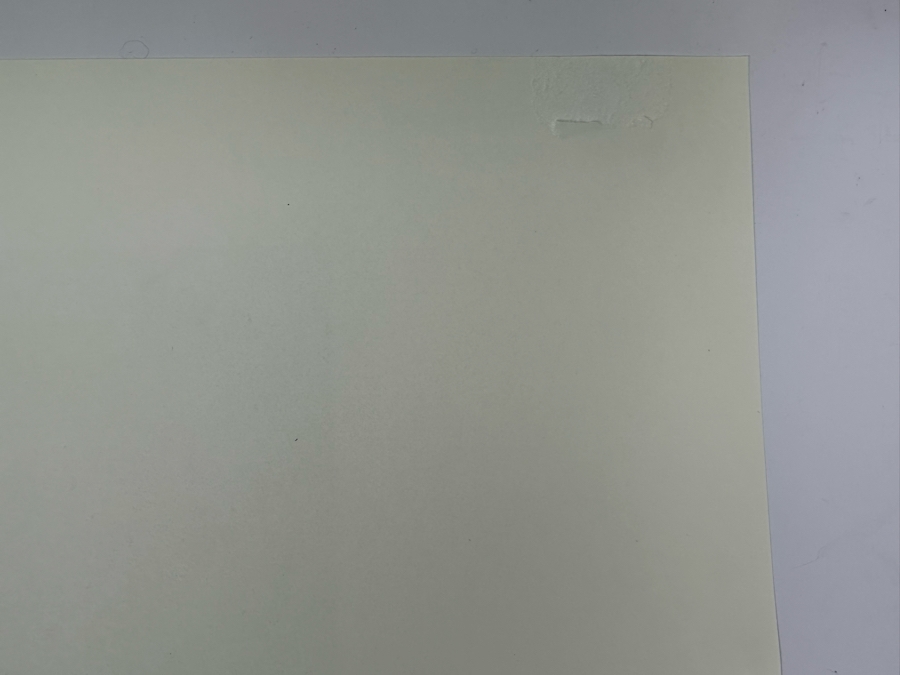 Adel Megdiche (1949-2022, Tunisian) Hand-Signed Limited Edition Print [Photo 10]