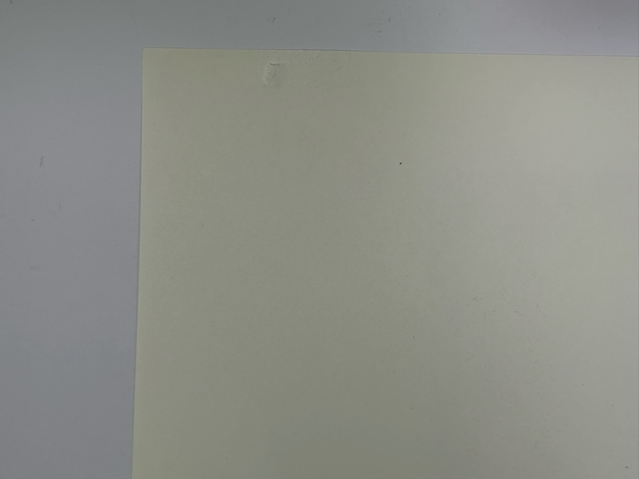 Adel Megdiche (1949-2022, Tunisian) Hand-Signed Limited Edition Print [Photo 9]