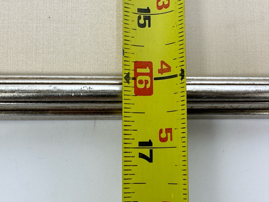 Antique Hand Colored Etching The Pied Oyster Catcher London, Published as the Act Directs June 10, 1808 7.5 X 10 Framed 14 X 16 [Photo 21]